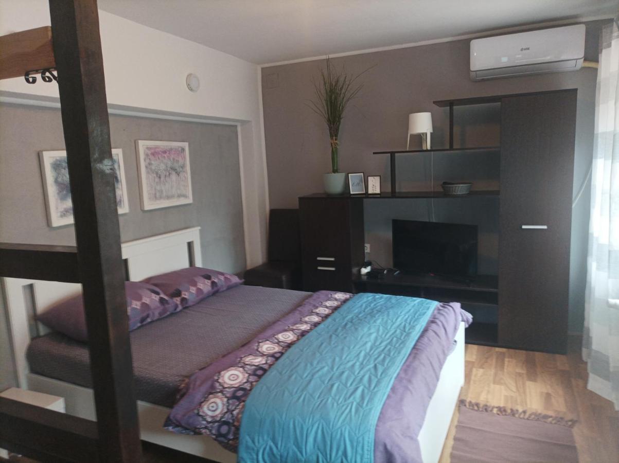 Apartmani Biljana Lazic Vrnjačka Banja Extérieur photo