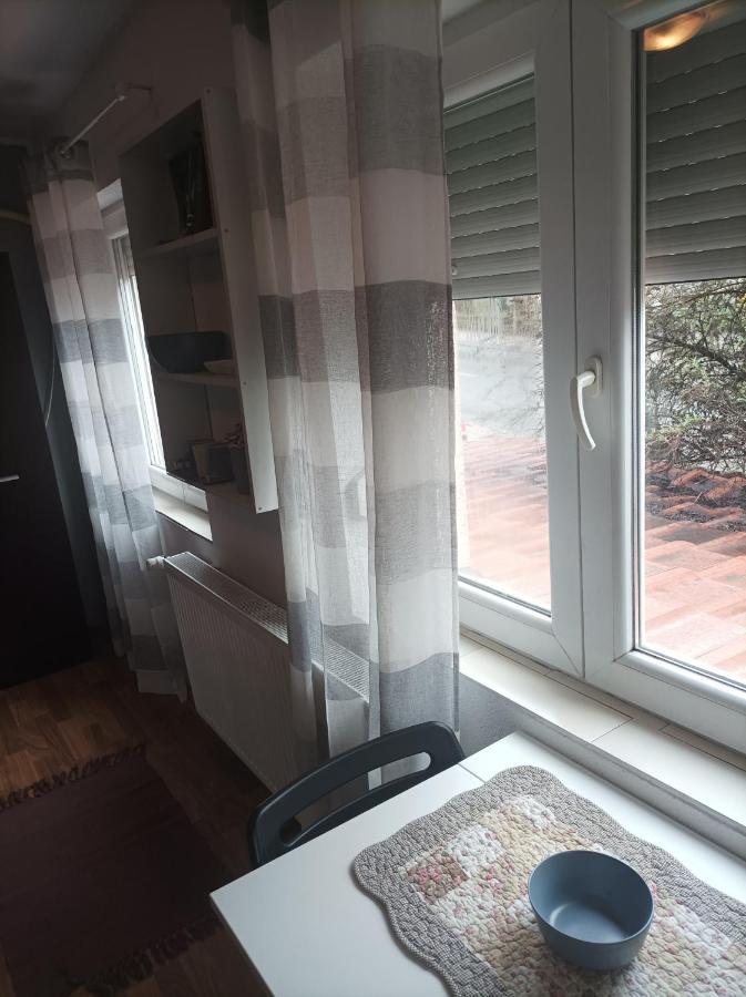 Apartmani Biljana Lazic Vrnjačka Banja Extérieur photo