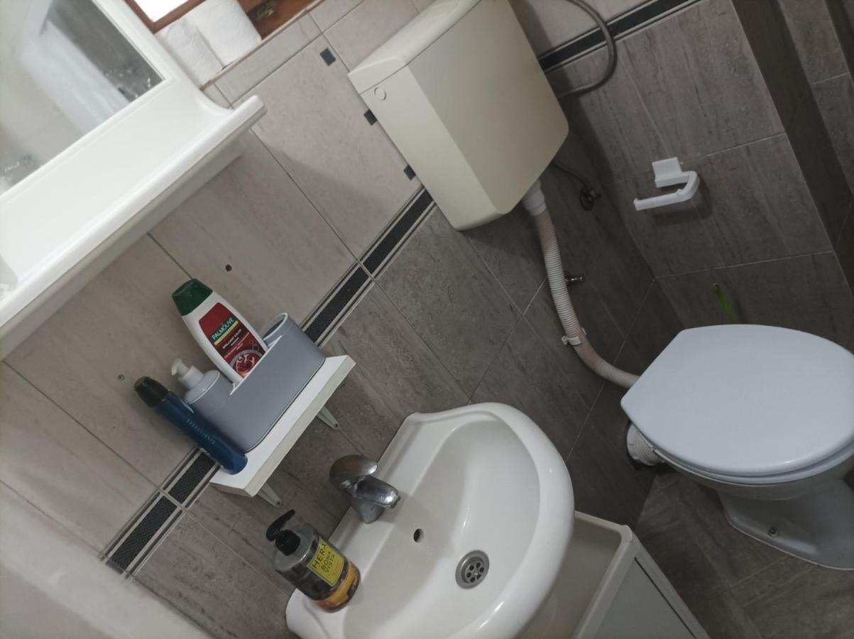 Apartmani Biljana Lazic Vrnjačka Banja Extérieur photo