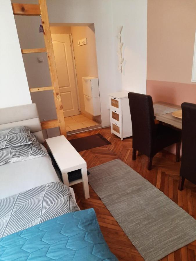 Apartmani Biljana Lazic Vrnjačka Banja Extérieur photo