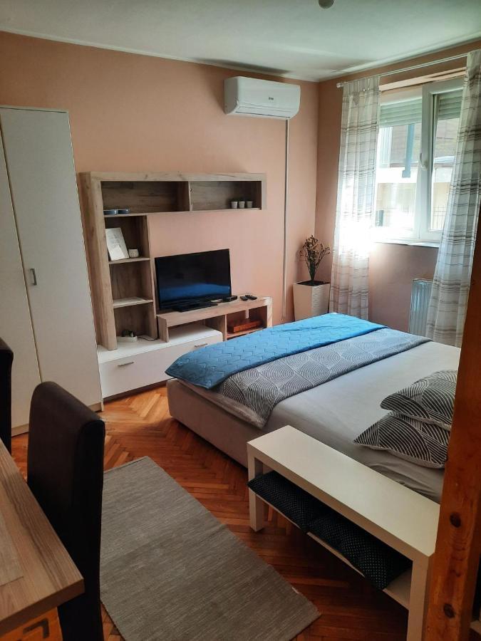 Apartmani Biljana Lazic Vrnjačka Banja Extérieur photo